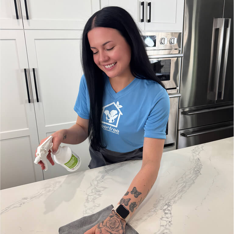 cleaner-wiping-counter