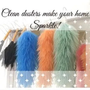 Feather duster cleaning technique